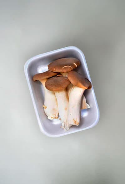 Eryngui